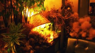 純喫茶ローレンス店内