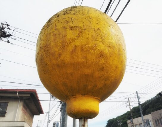 児島・サンレモン_巨大なレモン