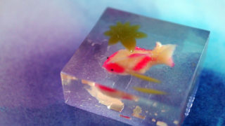 若葉蔭