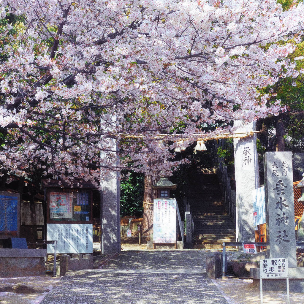 f:id:Kotori_fresh:20180507134908j:plain f:id:Kotori_fresh:20180507134908j:plain