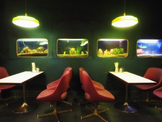 岡山 コーヒールームキャッスル 7つの水槽に囲まれる水族館喫茶 喫茶のすたるじあ 岡山 コーヒールームキャッスル 7つの水槽に囲まれる水族館喫茶 喫茶のすたるじあ