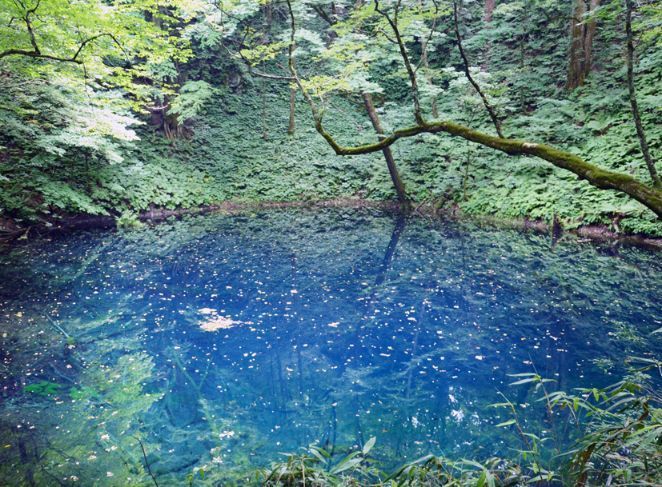 十二湖の青池