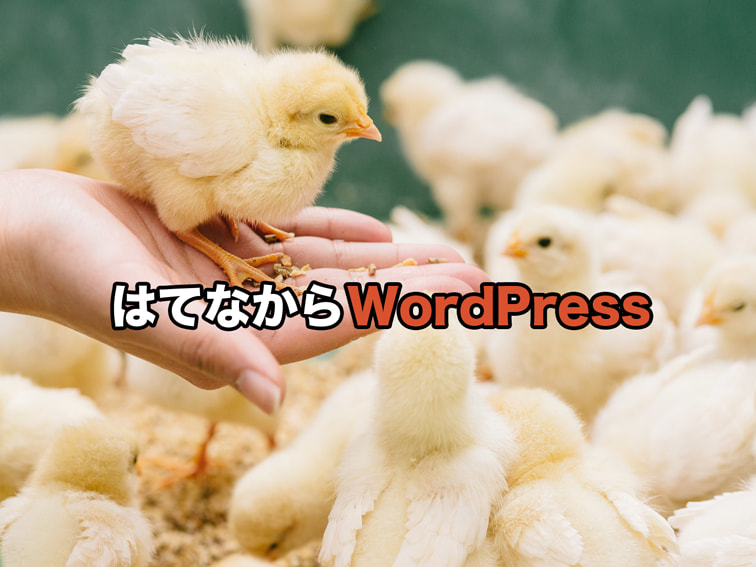 はてなからWordPressキャッチ