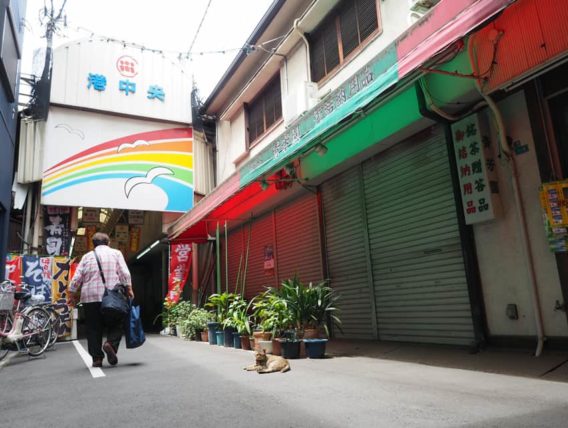 八幡屋商店街の地域猫1