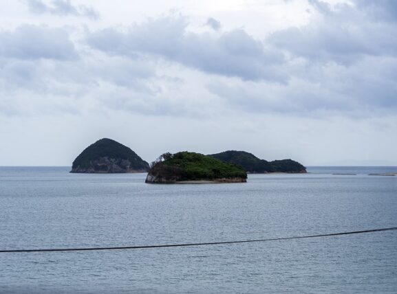 大川オアシス・窓から見た景色